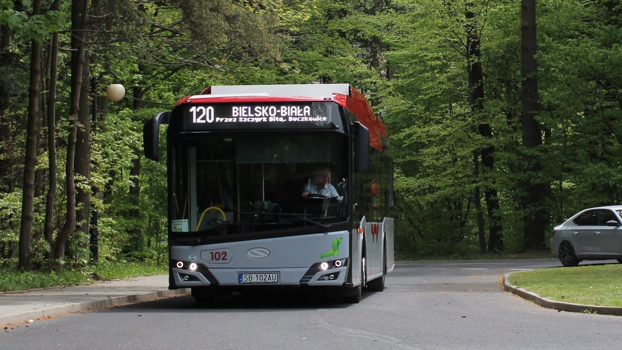 Wynajem autobusów